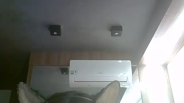 Snapshot of Skinny-Kitten chatting on June 28, 1:45 am Skinny-Kitten online show from June 28, 1:45 am