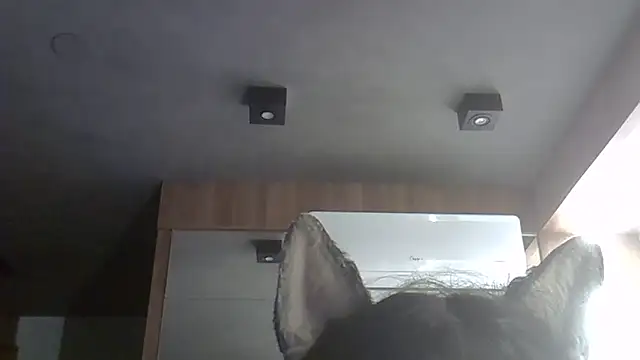 Skinny-Kitten online show from February 9, 10:24 am