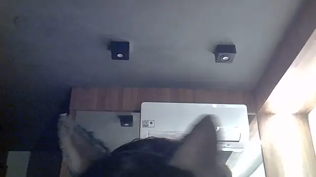 Snapshot of Skinny-Kitten chatting on July 12, 7:42 am Skinny-Kitten online show from July 12, 7:42 am