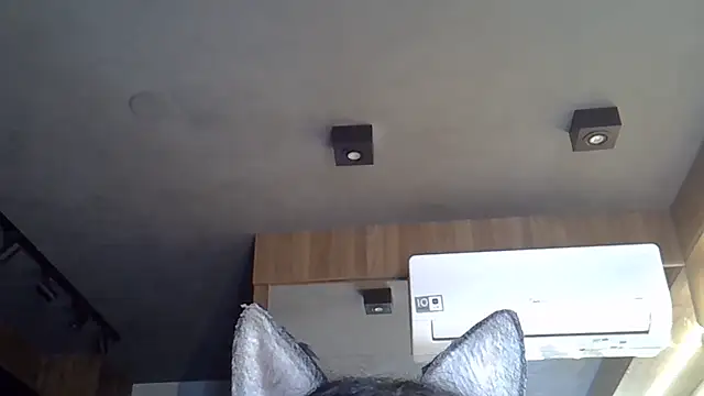 Skinny-Kitten online show from November 6, 5:17 pm