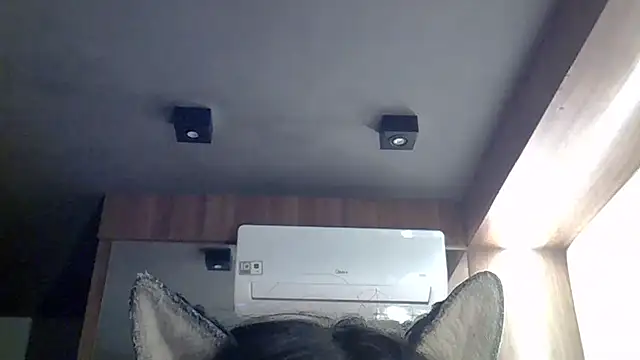Skinny-Kitten online show from May 20, 2:36 pm