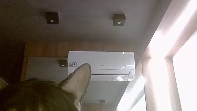 Snapshot of Skinny-Kitten chatting on July 7, 7:39 pm Skinny-Kitten online show from July 7, 7:39 pm