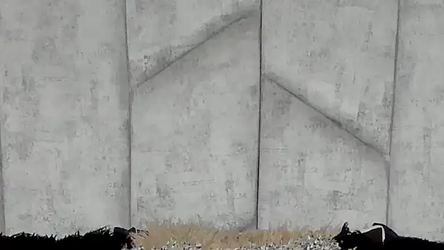 EmmaWillde online show from December 10, 5:00 pm