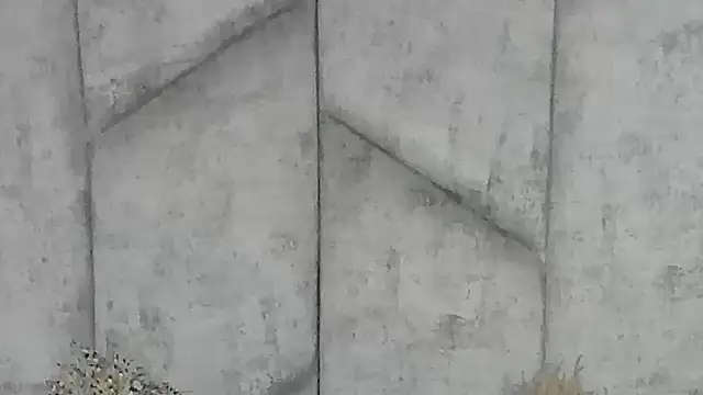 EmmaWillde online show from December 20, 1:54 pm