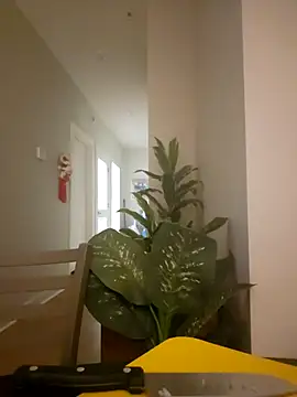 lofibunni online show from March 18, 6:42 pm