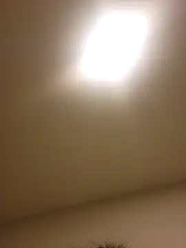 lofibunni online show from February 15, 3:29 am