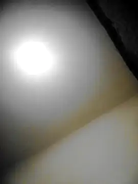 bestofyalcinturkey online show from January 15, 5:05 pm