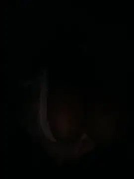 m yummyshish online show from April 1, 1:30 am