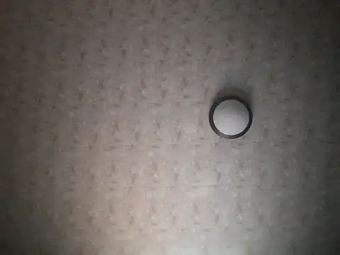 Snapshot of Stormward chatting on November 30, 11:38 pm Stormward online show from November 30, 11:38 pm