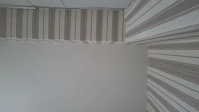 Snapshot of lily__foster chatting on September 22, 5:46 am lily foster online show from September 22, 5:46 am