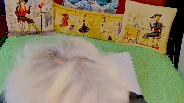 Snapshot of stiphlermom chatting on November 29, 3:34 pm stiphlermom online show from November 29, 3:34 pm