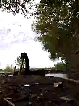 Dwirosebig online show from January 12, 2:45 am