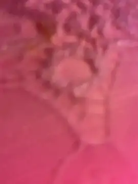 ThICk JuIcEy online show from January 8, 8:42 am