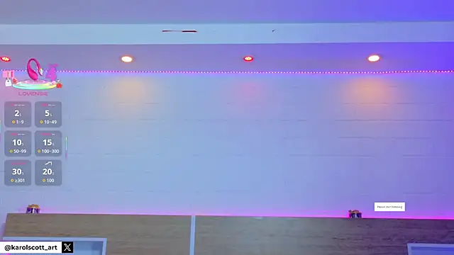 KAROL-SCOTT online show from January 13, 8:24 pm