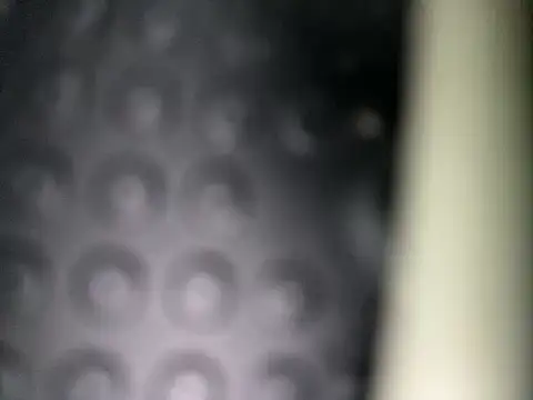 Snapshot of Danii0790 chatting on November 8, 6:39 am Danii0790 online show from November 8, 6:39 am