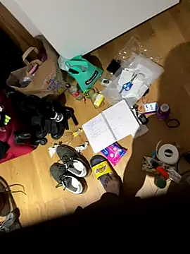 la chiennete online show from December 2, 8:10 pm