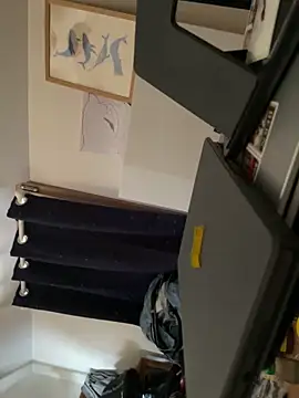 la chiennete online show from February 13, 2:06 pm