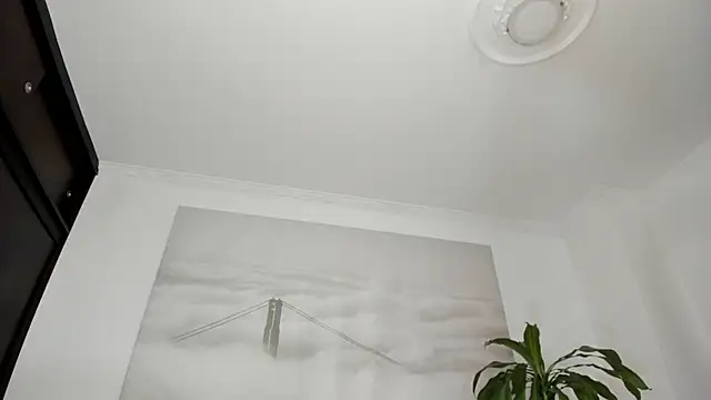 Apotheosis01 online show from November 14, 9:24 am