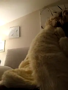 Merilulla online show from November 14, 1:20 am