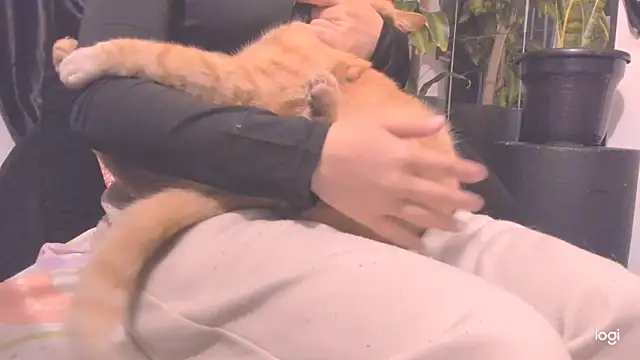 MYFAVOURITESTRAGER online show from November 23, 2:54 am