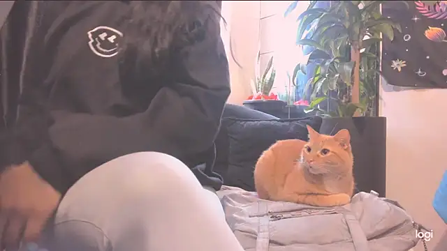 MYFAVOURITESTRAGER online show from October 21, 4:17 pm