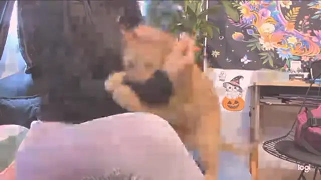 MYFAVOURITESTRAGER online show from October 30, 4:04 pm