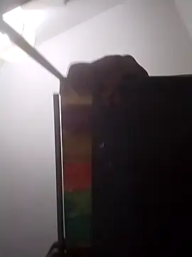 Snapshot of blkhereforall chatting on December 4, 2:49 pm blkhereforall online show from December 4, 2:49 pm