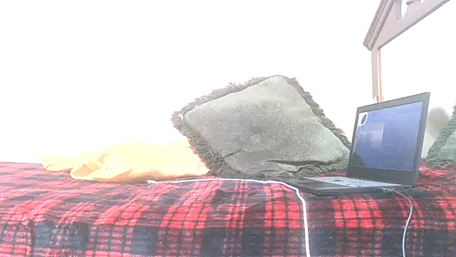 Snapshot of blkhereforall chatting on October 26, 9:26 pm blkhereforall online show from October 26, 9:26 pm