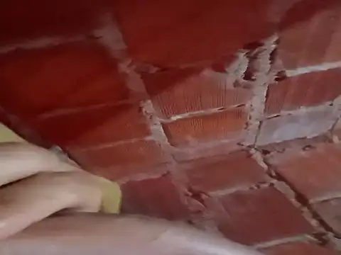 w31 online show from November 21, 12:53 am