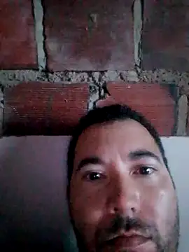 w31 online show from September 9, 3:38 am