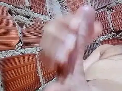 w31 online show from January 15, 1:31 am