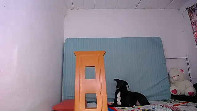 yselahot online show from November 17, 3:27 pm