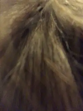  Sweet Love  online show from March 29, 1:02 pm