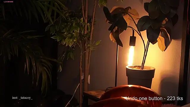 Snapshot of TataCoy chatting on February 15, 2:49 pm TataCoy online show from February 15, 2:49 pm