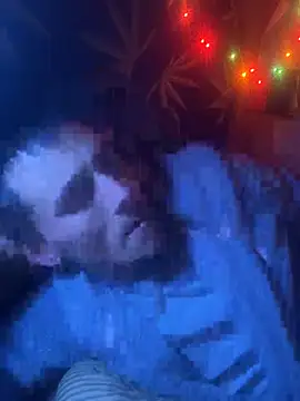 Snapshot of bugboy chatting on February 9, 6:00 am bugboy online show from February 9, 6:00 am