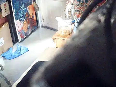baobao26 online show from May 16, 6:34 am