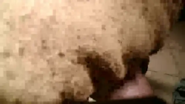 Dan3106x online show from March 19, 7:14 pm