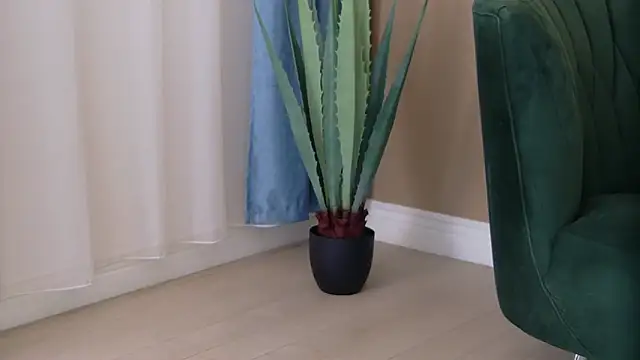 Bailey Rush online show from November 25, 3:34 pm