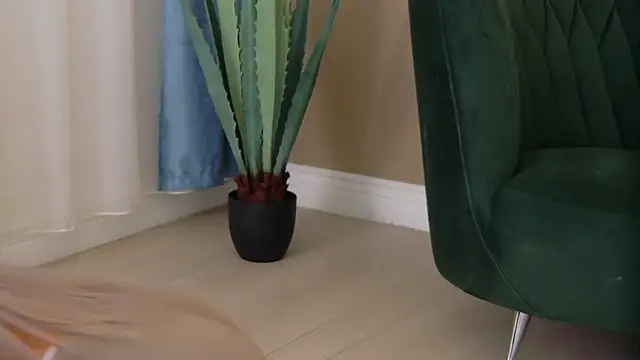 Bailey Rush online show from December 5, 3:54 pm