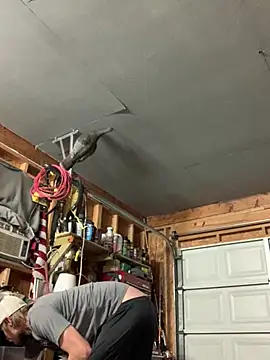 Midwestalpha online show from March 15, 7:37 am