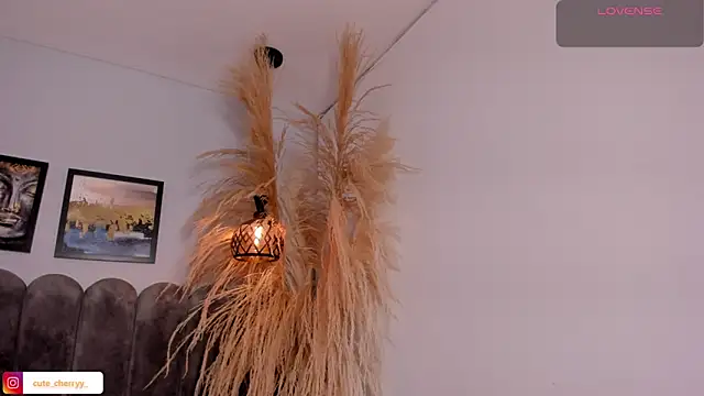 cute  cherry  online show from April 14, 8:25 pm