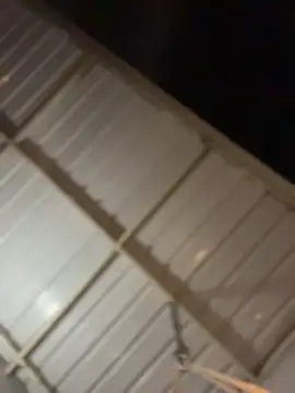 ZahaRoseee online show from March 26, 3:49 am