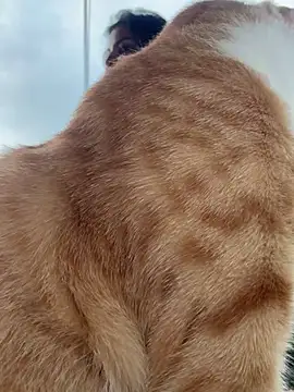 Snapshot of GigiiStone chatting on March 16, 10:20 pm GigiiStone online show from March 16, 10:20 pm