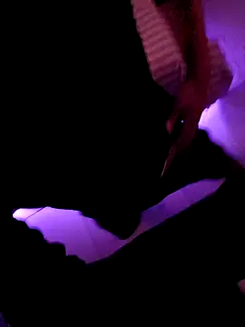 Damazo online show from February 23, 8:59 am