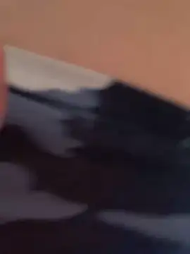 Terrafirma online show from January 27, 4:11 pm