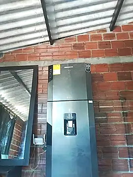 Yelly online show from March 13, 3:39 pm