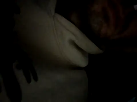 trap xandi playlist online show from October 29, 5:01 pm