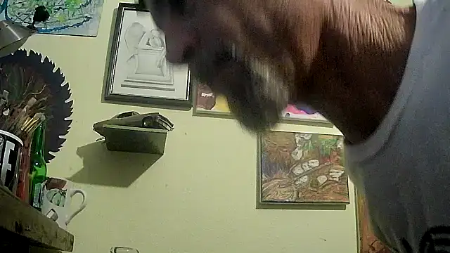 druetrue online show from November 9, 10:03 pm