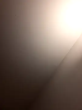 Silvia Zeno online show from March 12, 1:37 pm