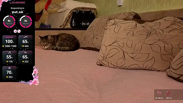 Miss Flexi fit online show from April 4, 8:37 pm